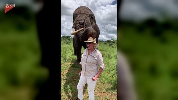 Pewna kobieta odwiedziła park safari w Zimbabwe. Tam miała okazję zrobić sobie zdjęcie ze słoniem o imieniu Mac. Zwierzę okazało się na tyle towarzyskie, że w pewnym momencie porwało kapelusz turystyki, tylko po to, by po chwili zwrócić go w całości. 