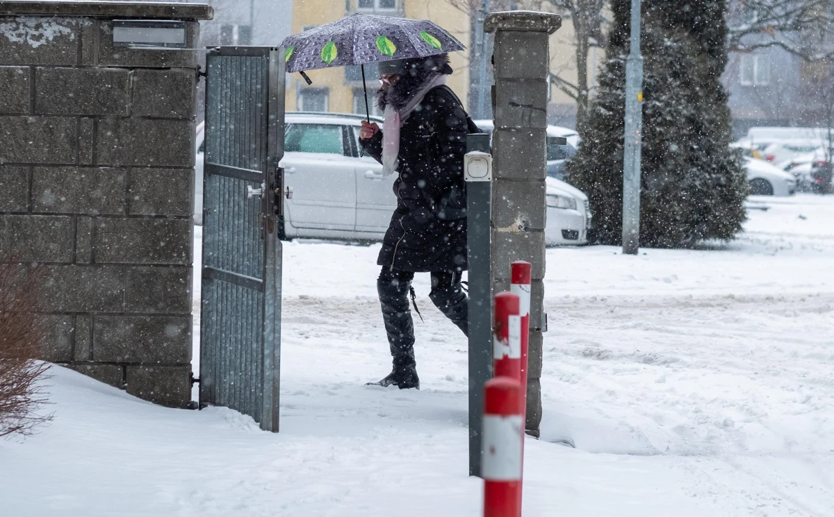 Instytut Meteorologii i Gospodarki Wodnej wydał w poniedziałek ostrzeżenia w związku z intensywnymi opadami śniegu. W całym kraju obowiązują ostrzeżenia pierwszego stopnia, na południu stopnia drugiego, a na Lubelszczyźnie i Podkarpaciu miejscami najwyższego, trzeciego stopnia. Instytut ostrzega także przed silnym wiatrem i gołoledzią. „Najbliższy tydzień przyniesie pogłębienie zimowych warunków. Należy spodziewać się mrozu, którego odczuwalność pogłębią intensywne podmuchy wiatru i zamiecie. Na wschodzie i w centrum można się spodziewać 15 cm śniegu. Intensywne opady śniegu mają powrócić w czwartek - informuje IMGW.