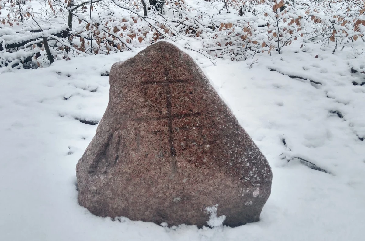 Zaginiony 9 lat temu głaz Morowiec wrócił do szczecińskiej Puszczy Bukowej. Kamień z wyrytym na nim krzyżem lotaryńskim został skradziony. Udało się go odnaleźć na posesji pod Stargardem. 