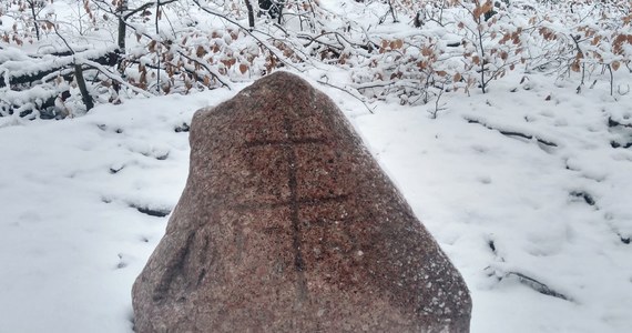 Zaginiony 9 lat temu głaz Morowiec wrócił do szczecińskiej Puszczy Bukowej. Kamień z wyrytym na nim krzyżem lotaryńskim został skradziony. Udało się go odnaleźć na posesji pod Stargardem. 