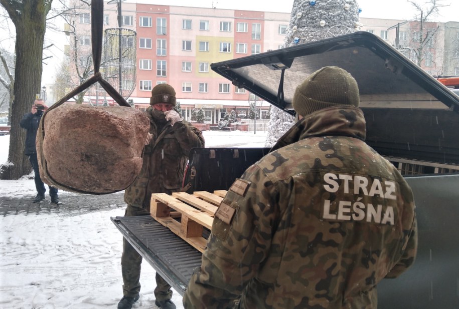 /Źródło: Nadleśnictwo Gryfino /