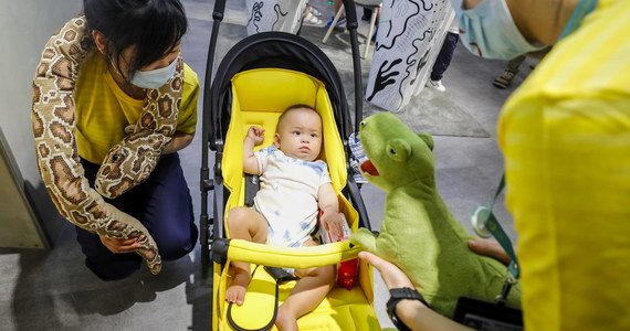 W 2020 roku w Chinach urodziło się o 15 proc. mniej dzieci niż rok wcześniej - wynika z danych ministerstwa bezpieczeństwa publicznego. Spadek wynika m.in. z pandemii Covid-19, która zakłóciła pracę gospodarki i ważyła na decyzjach o założeniu rodziny.