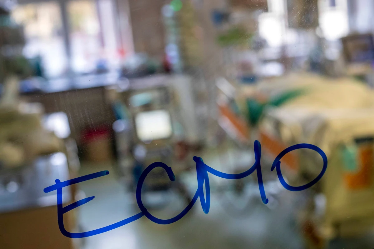 Pacjent chory na Covid-19 wyzdrowiał po 6 tygodniach terapii ECMO. Polega ona na sztucznym utlenowaniu krwi. Mężczyzna był już zakwalifikowany do przeszczepu płuc, ale ostatecznie zabieg nie był potrzebny. 28-latka leczono w Uniwersyteckim Szpitalu Klinicznym we Wrocławiu.