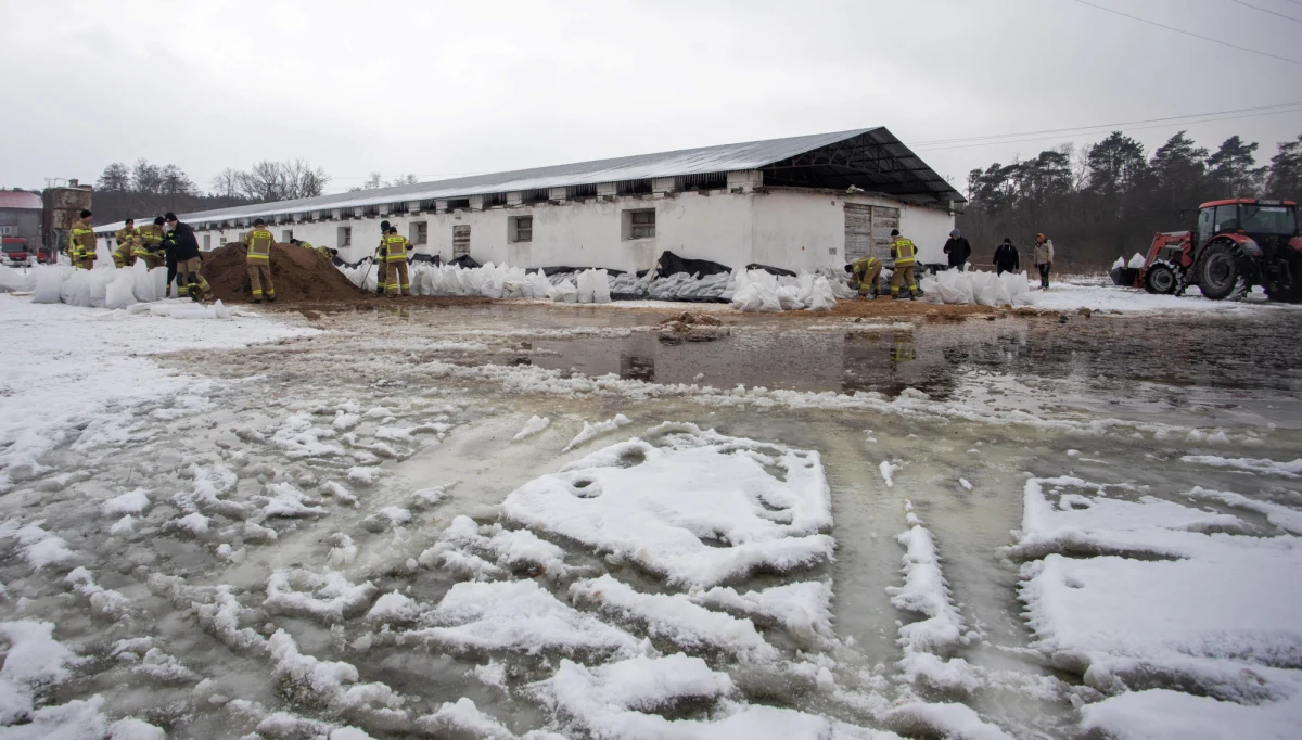 Poziom Wisły w Kępie Polskiej na Mazowszu przekroczył ponownie stan alarmowy. Na pozostałym terenie powiatu płockiego obserwowane są wahania poziomu rzeki. Z kolei w samym w Płocku poziom Wisły systematycznie opada, chociaż nadal utrzymuje się jeszcze ponad stany alarmu.
