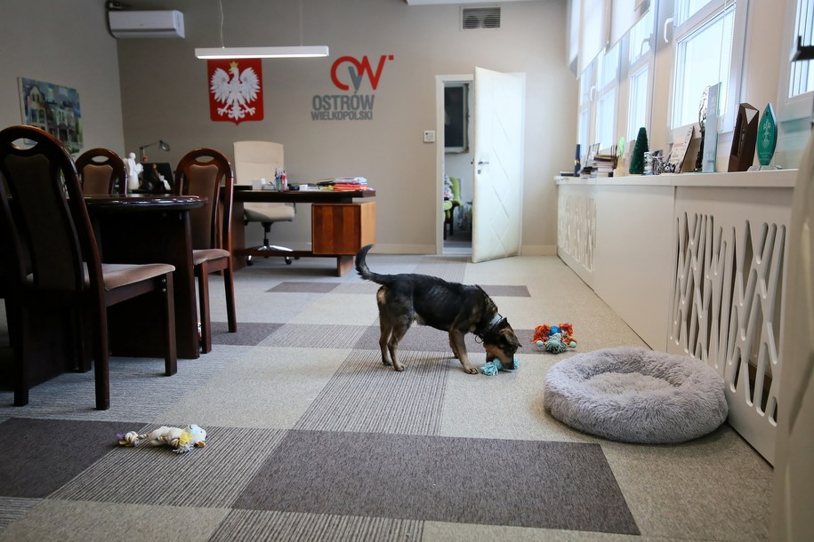 /Tomasz Wojtasik /PAP