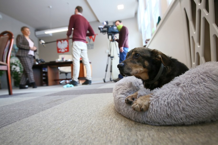 /Tomasz Wojtasik /PAP