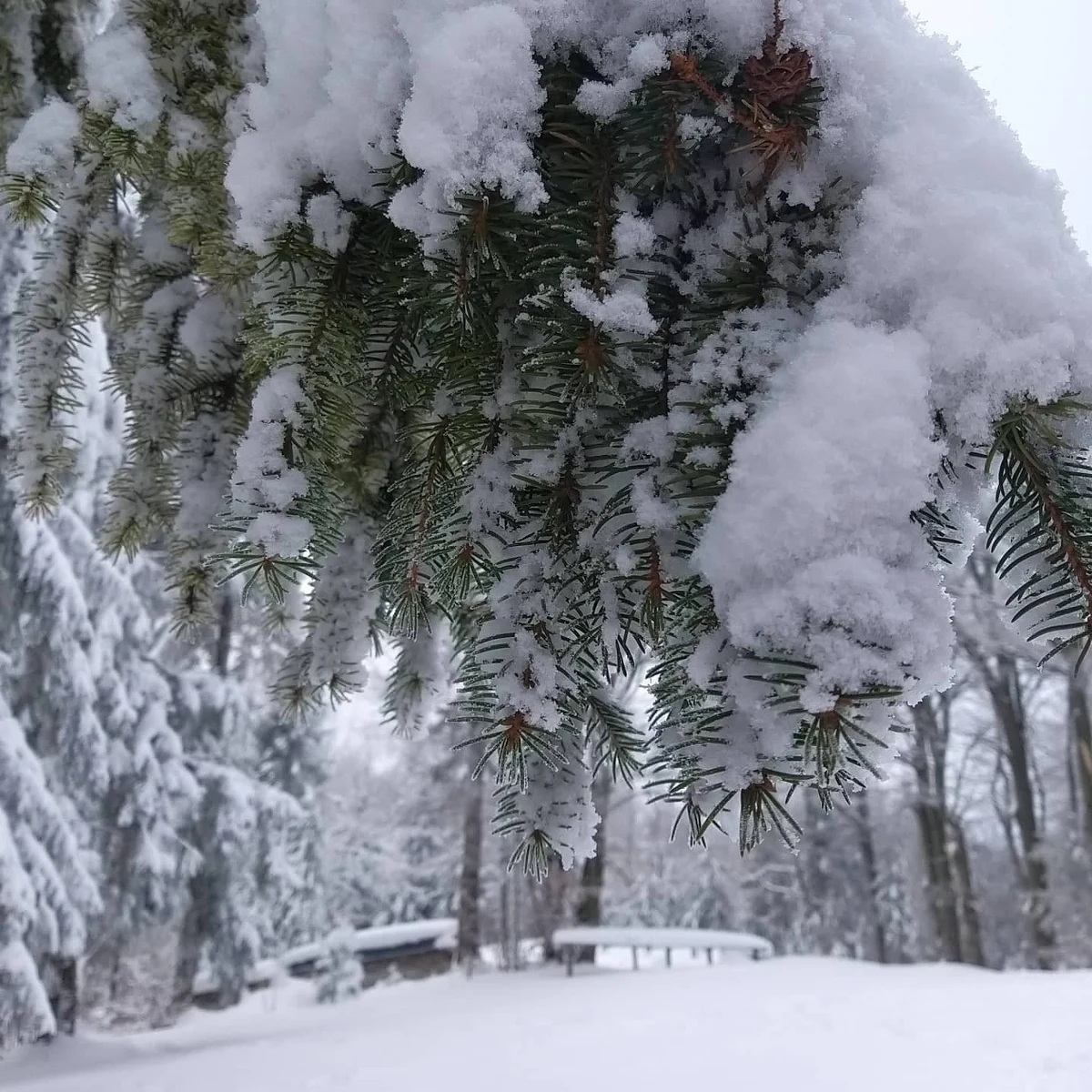 "Do zakochania jeden krok" śpiewał Andrzej Dąbrowski. My polecamy "do zakochania" znacznie więcej kroków. Z okazji walentynek proponujemy Wam Górę Zakochanych.