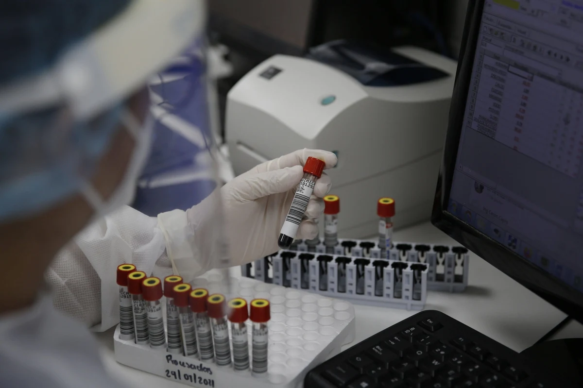 Nawet co dwudziesty przypadek zakażenia koronawirusem w Polsce może dotyczyć tzw. brytyjskiej mutacji wirusa – taką informację przekazał na konferencji prasowej minister zdrowia Adam Niedzielski. Według dotychczasowych badań, nazywana brytyjską – bo wykryta w Anglii – odmiana koronawirusa jest bardziej zaraźliwa.