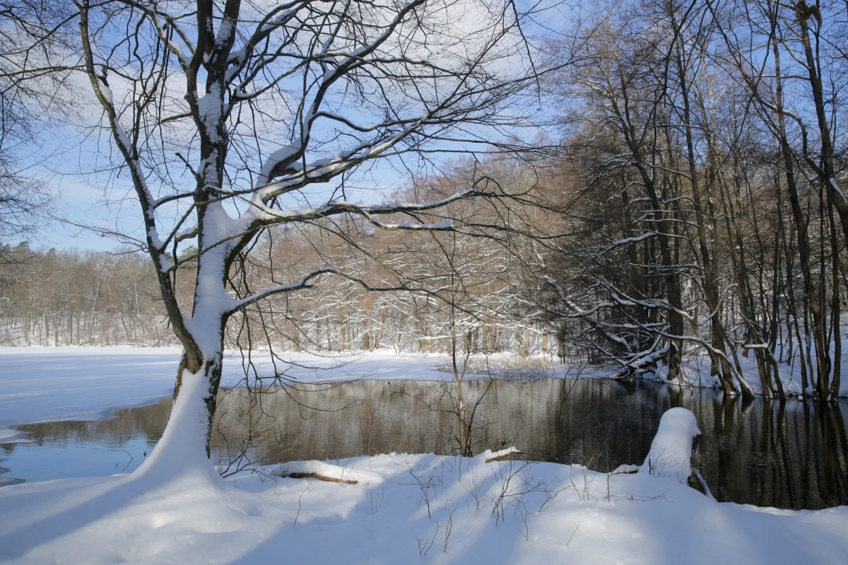 Czeka nas ocieplenie. W najbliższych dniach spodziewajmy się zmiennego zachmurzenia i bardzo dużego kontrastu termicznego: na wschodzie zimowej aury, a na zachodzie powiewu wiosny - prognozuje Instytut Meteorologii i Gospodarki Wodnej. W weekend termometry pokażą nawet 13 stopni na plusie.