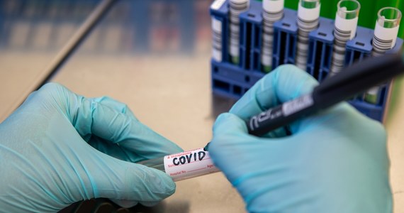 Jeszcze jeden, nowy wariant koronawirusa z potencjalnie niebezpiecznymi mutacjami zidentyfikowali naukowcy w Wielkiej Brytanii. Jest on podobny do wariantów południowoafrykańskiego i brazylijskiego, a pochodzi prawdopodobnie z Nigerii. Zdaniem naukowców, ten nowy wariant koronawirusa jest bardziej odporny na obecnie stosowane szczepionki.