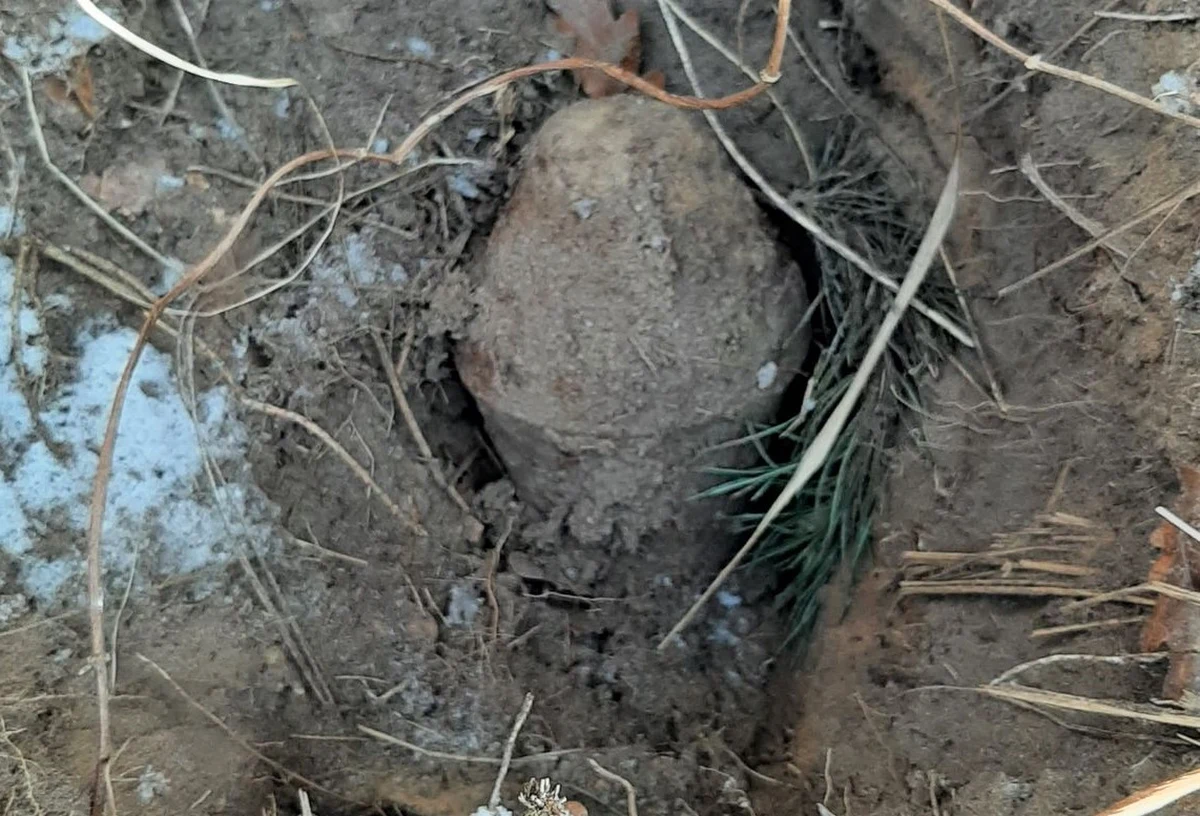 ​Strażnicy leśni z Nadleśnictwa Skwierzyna w Lubuskiem natknęli się w lesie na częściowo odkopany panzerfaust. To niemiecki granatnik z czasów II wojny światowej. Podejrzewają, że niewybuch został wykryty w trakcie nielegalnej eksploracji terenu z użyciem wykrywacza metalu.