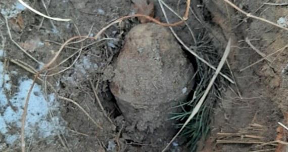 ​Strażnicy leśni z Nadleśnictwa Skwierzyna w Lubuskiem natknęli się w lesie na częściowo odkopany panzerfaust. To niemiecki granatnik z czasów II wojny światowej. Podejrzewają, że niewybuch został wykryty w trakcie nielegalnej eksploracji terenu z użyciem wykrywacza metalu.