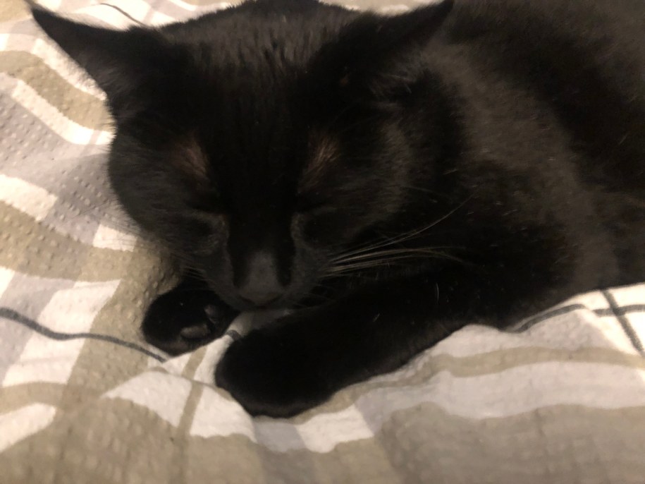 /Michał Dobrołowicz /RMF FM