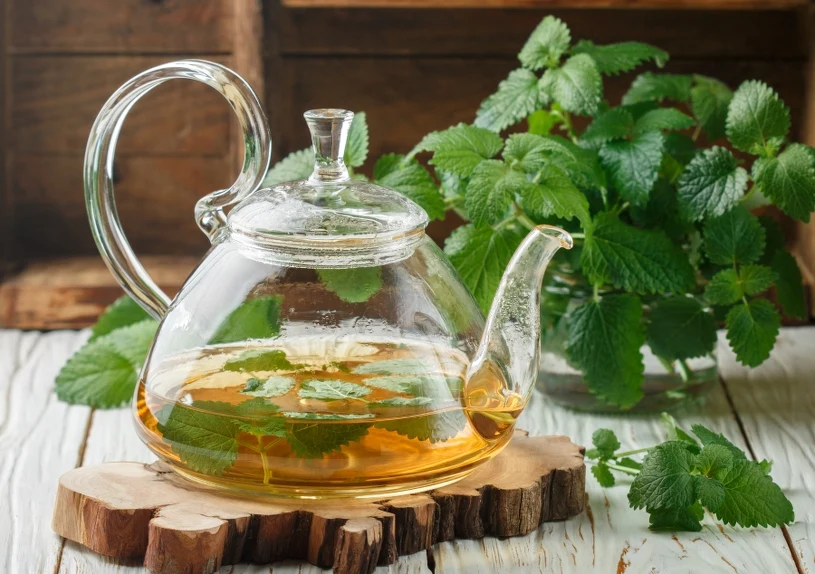 Przetestowałem pięć najlepszych ziół na spanie. Które są skuteczne?