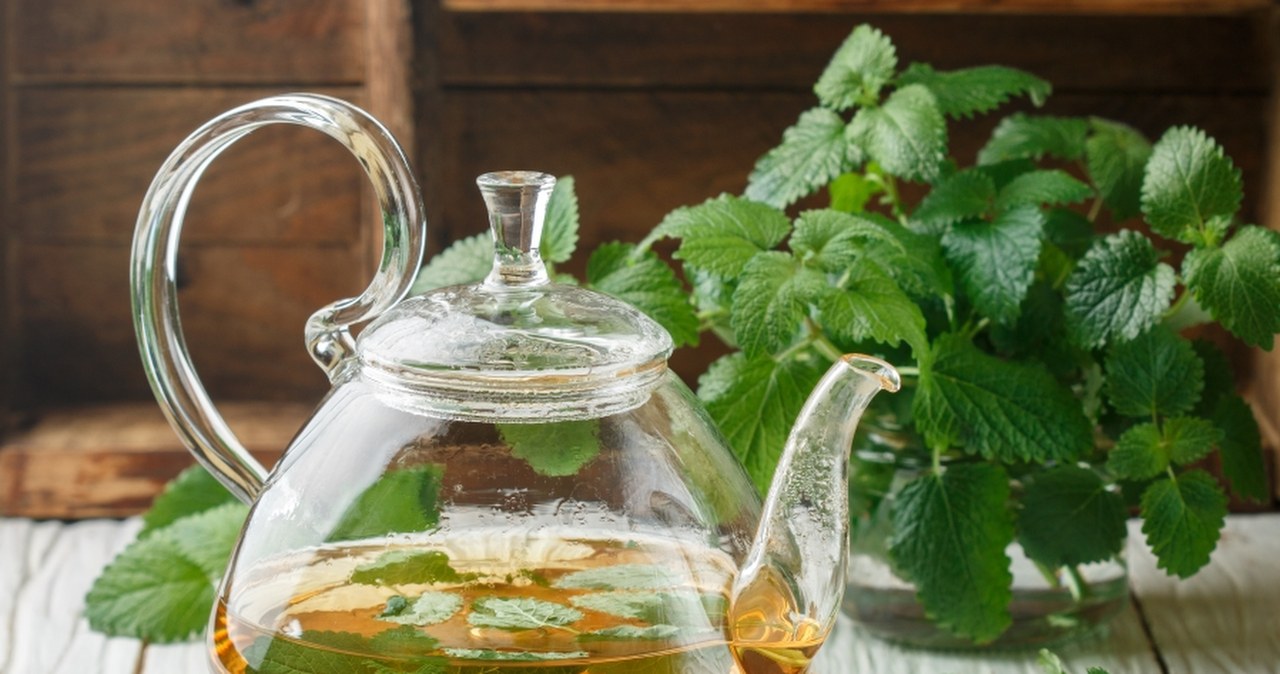 Przetestowałem pięć najlepszych ziół na spanie. Które są skuteczne?