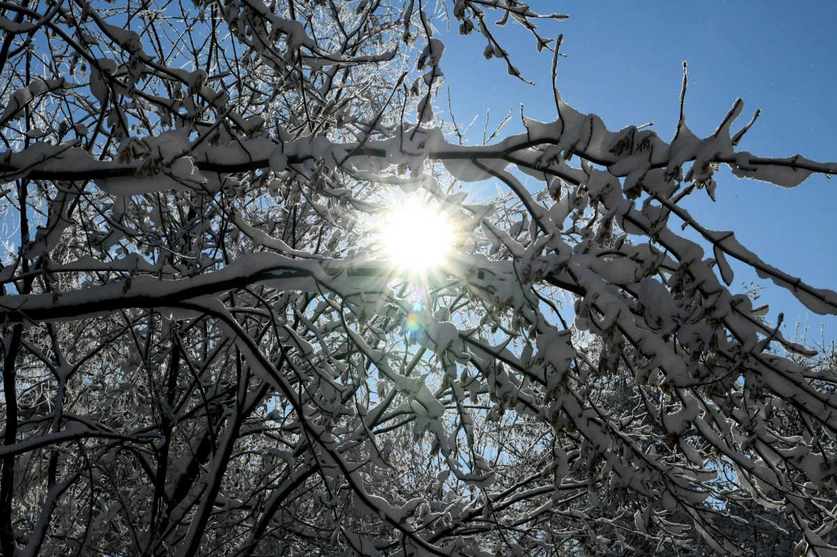 Czwartek to kolejny dzień z dużymi kontrastami w temperaturze. Na wschodzie Polski zima nie odpuszcza, podczas gdy na zachodzie czuć już pierwszy oddech wiosny. Najchłodniej w Białymstoku, tam dzisiaj -8 stopni Celsjusza. Najcieplej we Wrocławiu - nawet 6 stopni na plusie. Nadchodzą też ciepłe weekendowe noce. Sprawdź, jaka czeka nas pogoda!