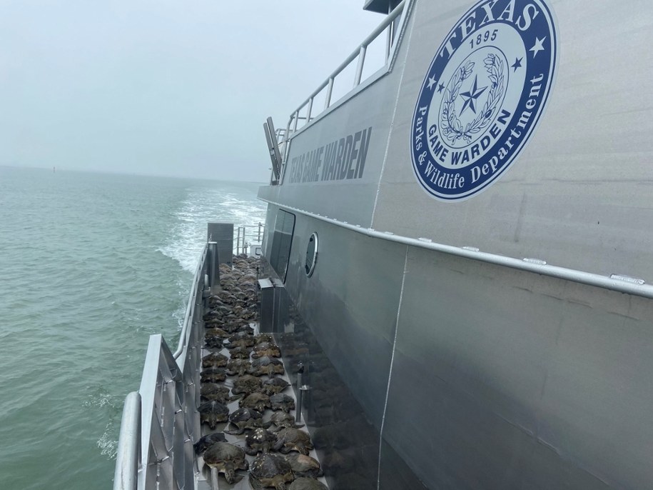 /TEXAS GAME WARDENS / HANDOUT /PAP/EPA