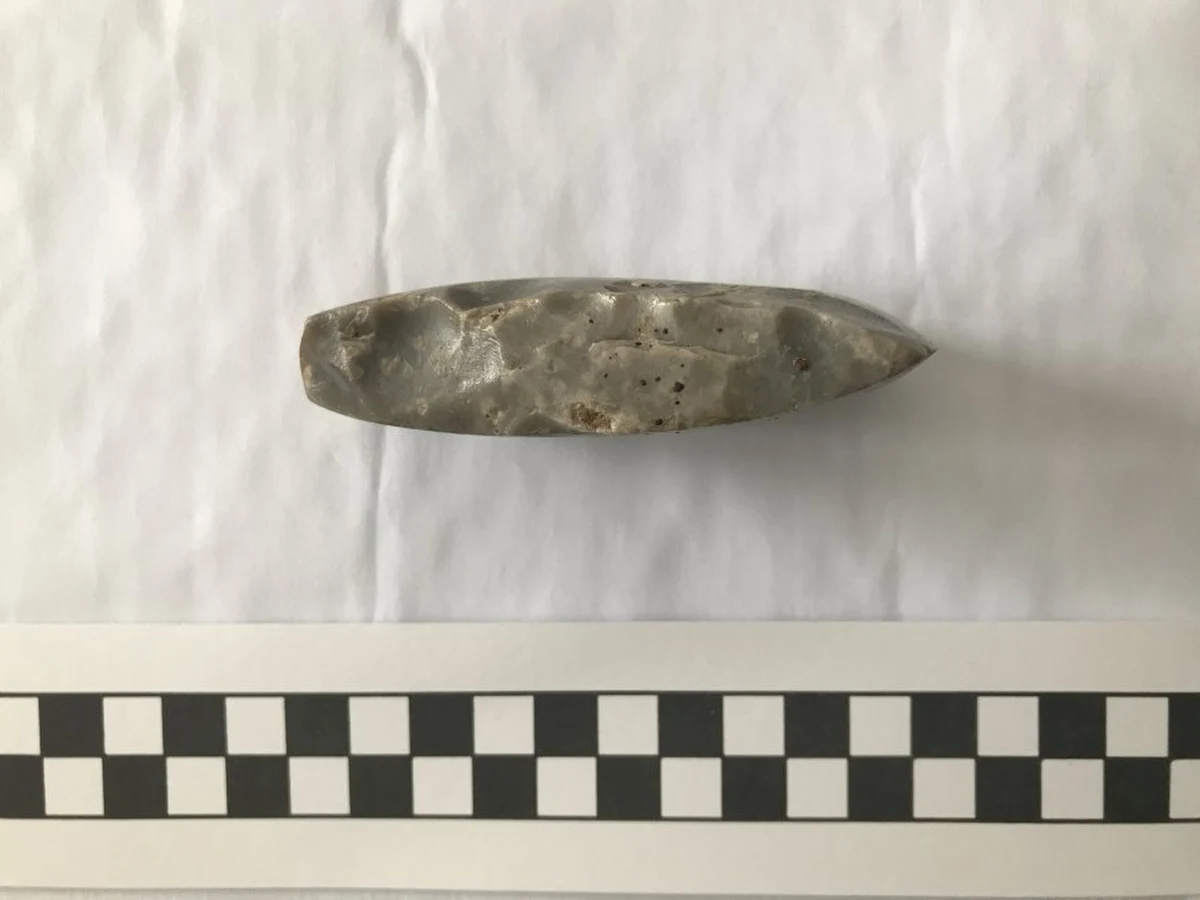 Mieszkaniec gminy Raciechowice (woj. małopolskie) znalazł podczas pracy na polu krzemienna siekierkę sprzed kilku tysięcy lat. Swoim znaleziskiem pochwalił się na jednym z forów internetowych. Artefakt odebrała mu policja.