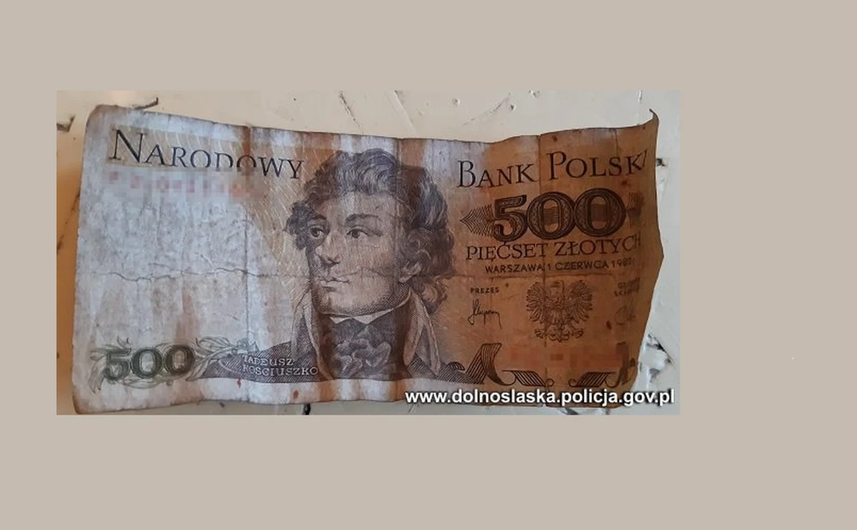 W Lubaniu na Dolnym Śląsku policjanci zatrzymali mężczyznę, który chciał zapłacić za zakupy banknotem 500 zł, wycofanym z obiegu 25 lat temu. Mężczyzna był poszukiwany w sprawie kradzieży z włamaniem. Usłyszał zarzuty i może spędzić nawet 10 lat w więzieniu.