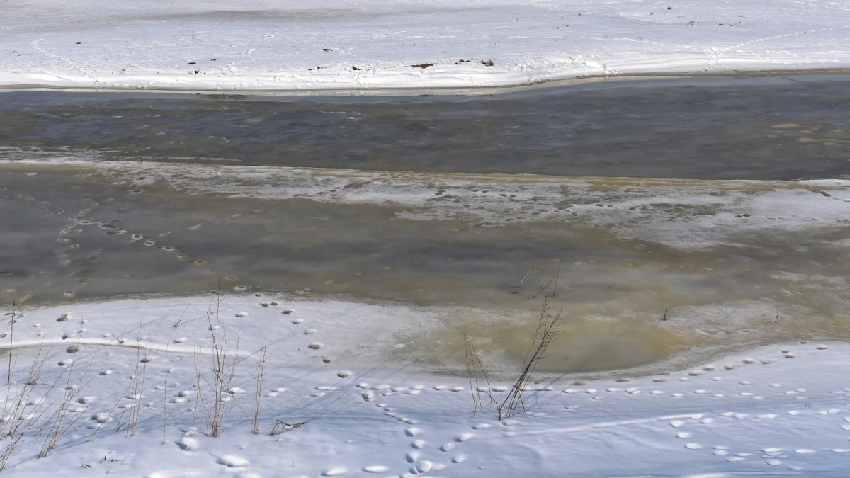 Dla trzech województw IMGW wydał w niedzielę ostrzeżenia hydrologiczne drugiego stopnia. Poziom wody może przekroczyć stany ostrzegawcze na Śląsku, Mazowszu i w Łódzkiem.