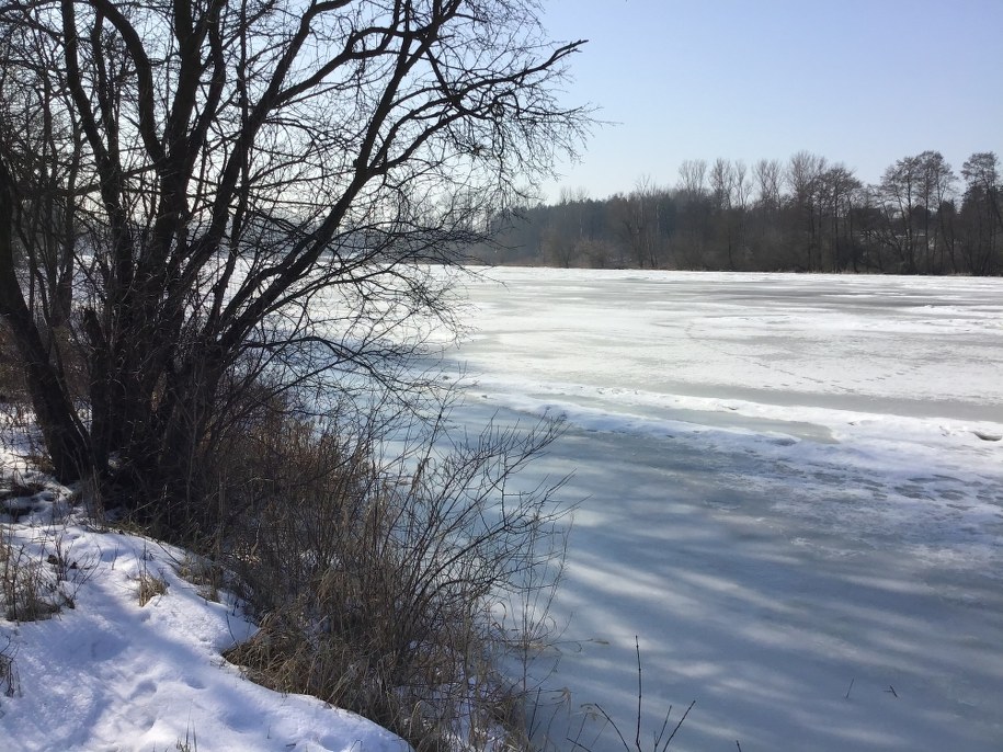 /Tomasz Skory  /RMF FM