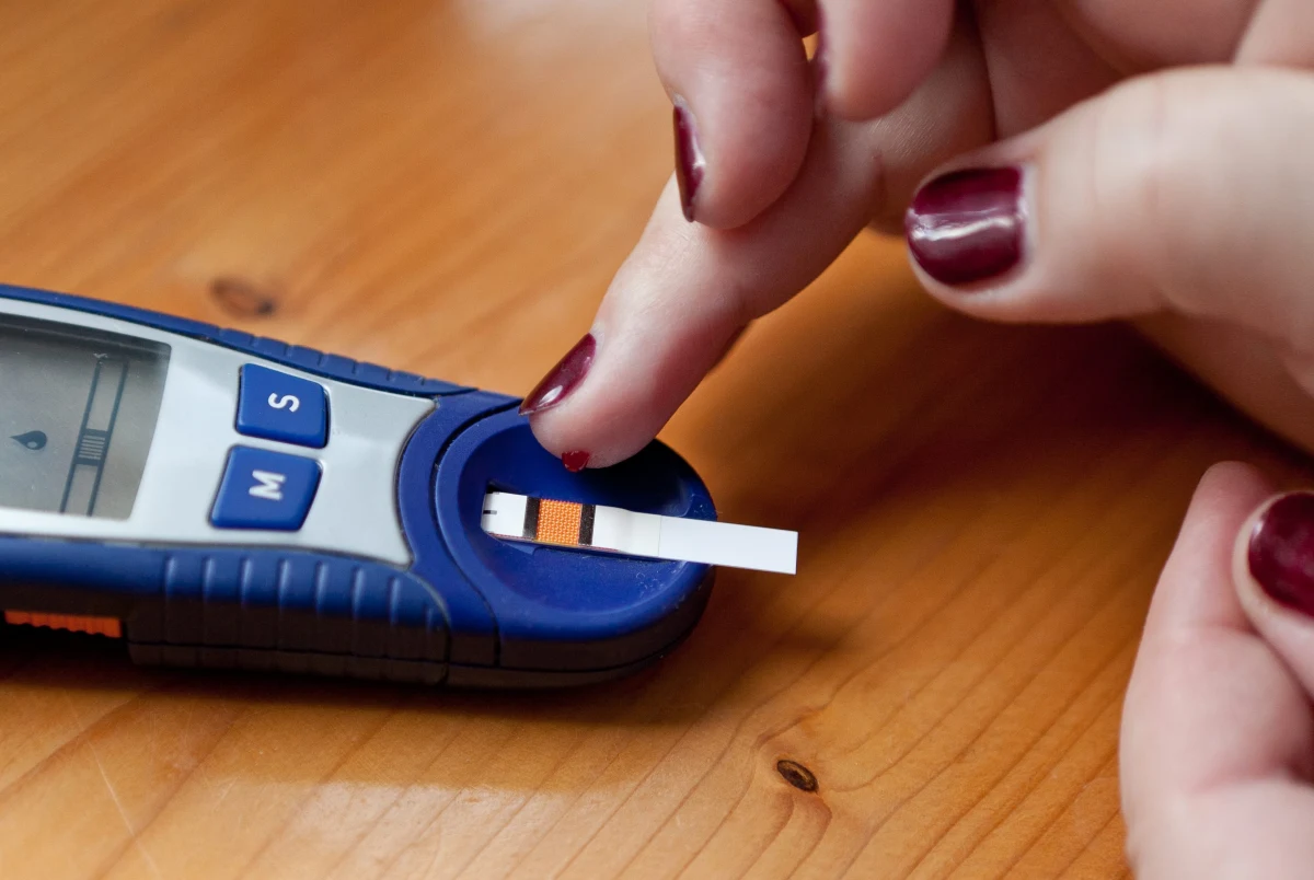 Eksperymentalna metoda terapii pozwala cofnąć objawy cukrzycy typu 1 u niektórych laboratoryjnych myszy - informują na łamach czasopisma "Proceedings of the National Academy of Sciences" naukowcy z University of Utah Health i kilku innych uczelni. Ich metoda, polegająca na podaniu do trzustki odpowiedniego zestawu przeciwciał sprawia, że komórki, które normalnie zajmują się kontrolą wytwarzania glukozy, zaczynają produkować insulinę i mysz wraca do zdrowia.