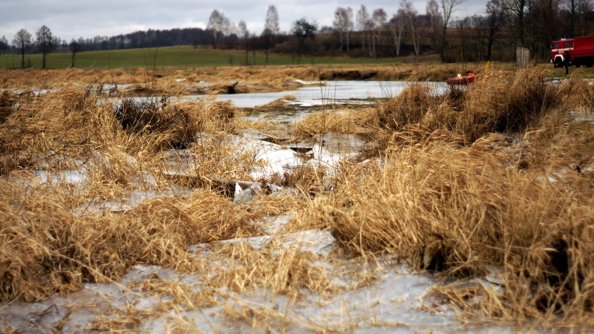 Kilku kolegów weszło na zamarzniętą rzekę Nidę w Pińczowie w woj. świętokrzyskim. Załamał się pod nimi lód. Jeden z nich - 12-latek - wpadł do wody i nie mógł się wydostać na brzeg. Chłopca uratowali strażacy.