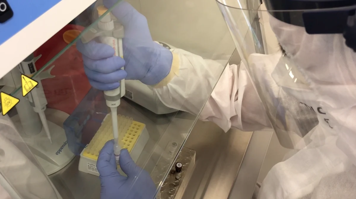 "Warmińsko-mazurski sanepid przebadał losowo wybrane 24 próbki osób zakażonych koronawirusem w kierunku wariantu wirusa. Okazało się, że 70 proc. próbek to angielska odmiana koronawirusa” - poinformował warmińsko-mazurski inspektor sanitarny Janusz Dzisko.