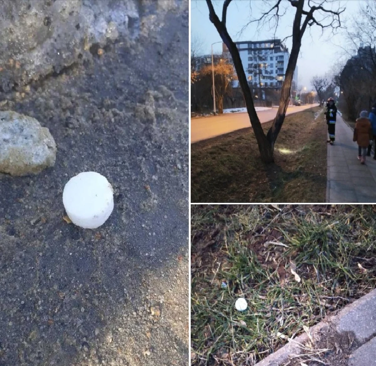 Podejrzane kapsułki w kilku miejscach na warszawskich Bielanach. 26 tabletek już zabezpieczyła warszawska straż miejska. O sprawie poinformował w mediach społecznościowych burmistrz dzielnicy.