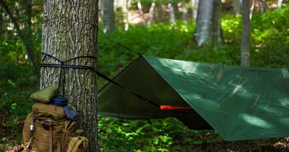 Wszystkie 429 nadleśnictw w kraju wyznaczy miejsca, w których legalnie będzie można spędzić dwie noce, rozstawiając namiot czy rozwieszając bushcraftowy hamak. To efekt trwającego od ponad roku programu pilotażowego, w ramach którego biwakowanie było legalne w 46 wyznaczonych miejscach w kraju. Jego rezultaty okazały się przełomowe, dlatego leśnicy postanowili, że obszarów do nocowania na dziko w lesie będzie jeszcze więcej i zostaną wprowadzone na stałe – informują leśnicy i zachęcają do nocowania na łonie natury. 