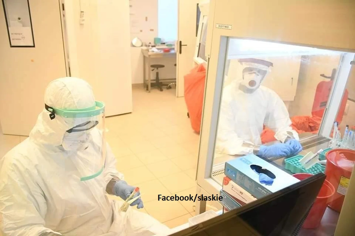 W województwie śląskim wykryto obecność pięciu wariantów koronawirusa. Wśród nich jest mutacja brytyjska oraz odmiana, którą w Polsce wykryto pierwszy raz. Badania przeprowadziło Laboratorium Genetyczne Gyncentrum współpracujące z Urzędem Marszałkowskim Województwa Śląskiego.