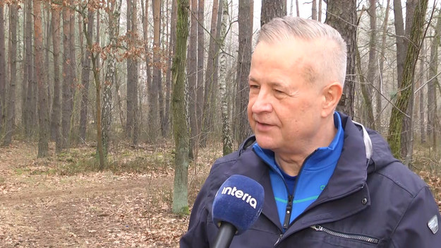 W ostatnich dwunastu miesiącach wydaliśmy na testy na koronawirusa u naszych wszystkich reprezentantów od 600 do 800 tysięcy złotych. Testy u samych tylko skoczków podczas mistrzostw świata w Oberstdorfie kosztowały nas 5 tysięcy euro. Jedno badanie to 100 euro - mówi w rozmowie z Interią Apoloniusz Tajner, prezes Polskiego Związku Narciarskiego. Szef PZN odniósł się także do zakażenia koronawirusem u Halvora Egnera Graneruda.