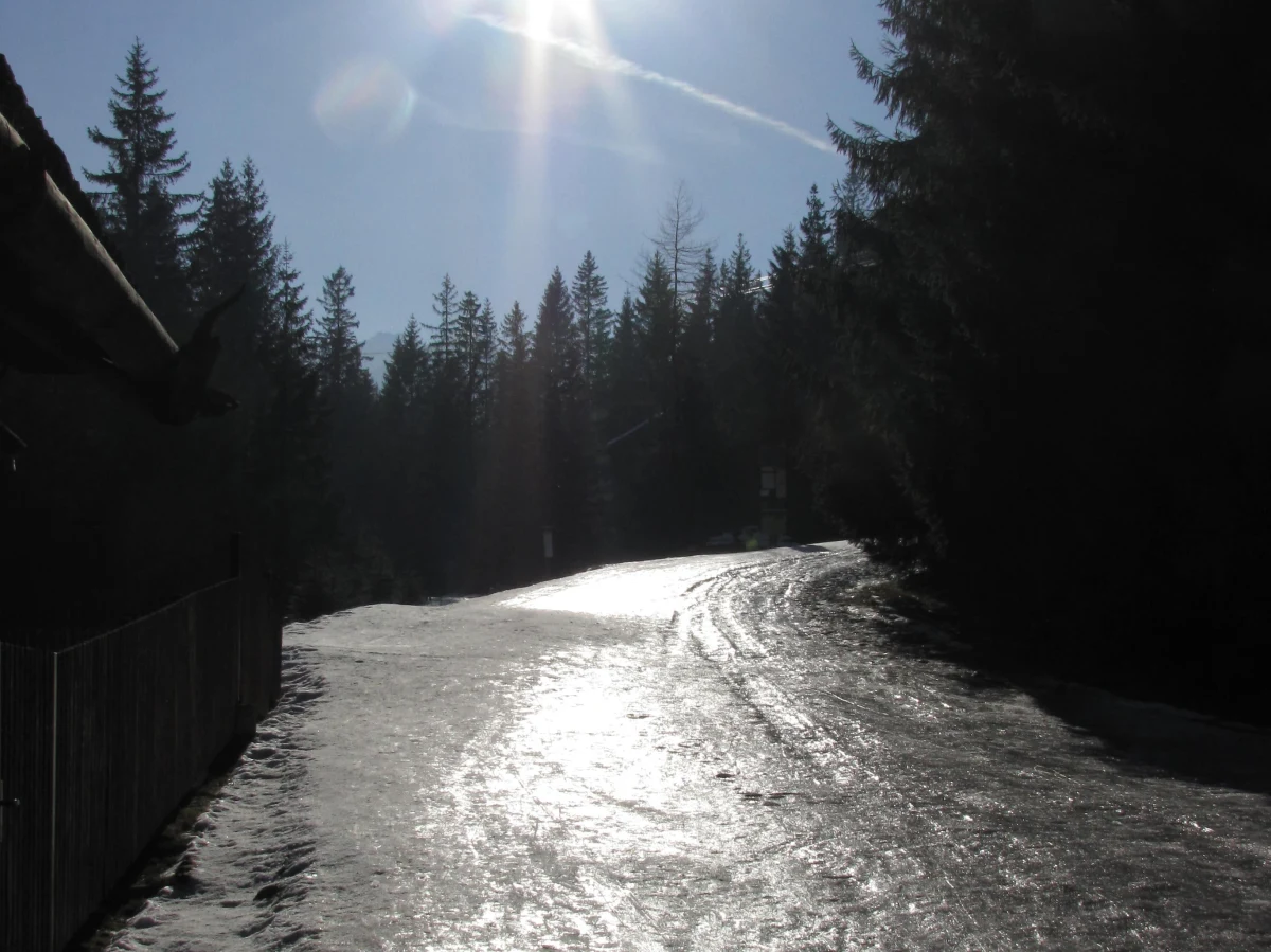 W całym kraju drogi i chodniki mogą być oblodzone, a w południowych powiatach województw: dolnośląskiego, opolskiego, śląskiego, małopolskiego i podkarpackiego będzie intensywnie padać śnieg - ostrzega w czwartek Instytut Meteorologii i Gospodarki Wodnej.