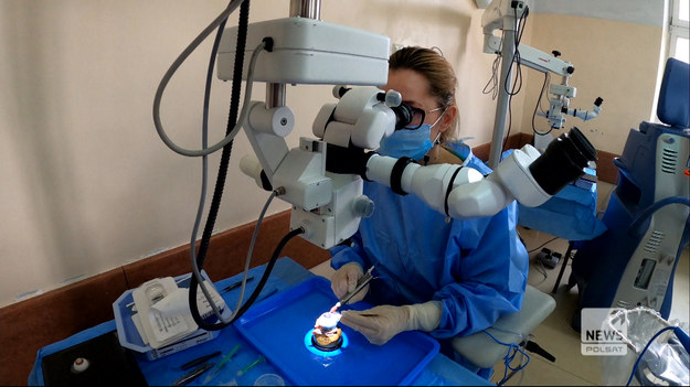 Wszystko wygląda jak na normalnej sali operacyjnej, ale jest to sala dydaktyczna dla lekarzy i studentów. Przez rok takich szkoleń w Polsce nie było, a pamiętajmy, że szkolenia trwają aż 5 lat. Obecnie wszyscy okuliści i studenci okulistyki muszą ćwiczyć operacje zaćmy na sztucznym oku.