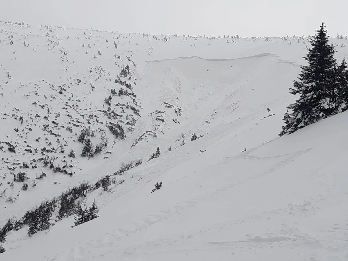 Duża lawina zeszła przed południem w Białym Jarze w Karkonoszach. Teren przeszukiwało ponad 70 ludzi: byli to członkowie Grupy Karkonoskiej GOPR wspierani przez ratowników z Czech. Na szczęście – jak się okazało – nikt nie został przysypany. Po zakończeniu akcji goprowcy ruszyli na czeską stronę, gdzie przed 15:00 również zeszła lawina.