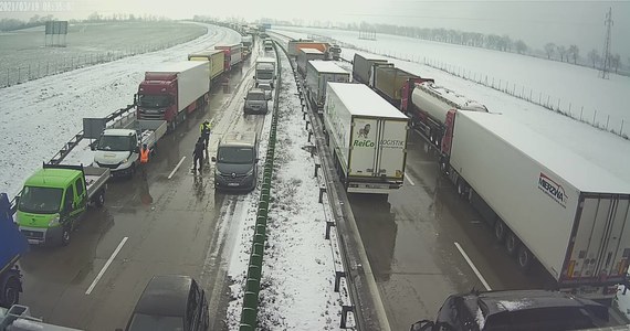 Aż dziewięć ciężarówek zderzyło się na dolnośląskim odcinku autostrady A4 na wysokości Chojnowa niedaleko Legnicy. Doszło też do dwóch innych kolizji.