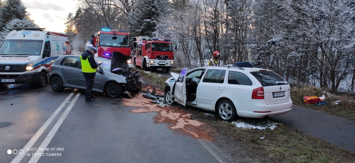 1,5-roczne dziecko zginęło w wyniku wypadku, do którego doszło na lokalnej drodze koło Leszna w Wielkopolsce. Zderzyły się tam dwa samochody. Do szpitala trafiła kobieta i dwoje małych dzieci. Stan jednego z nich jest poważny