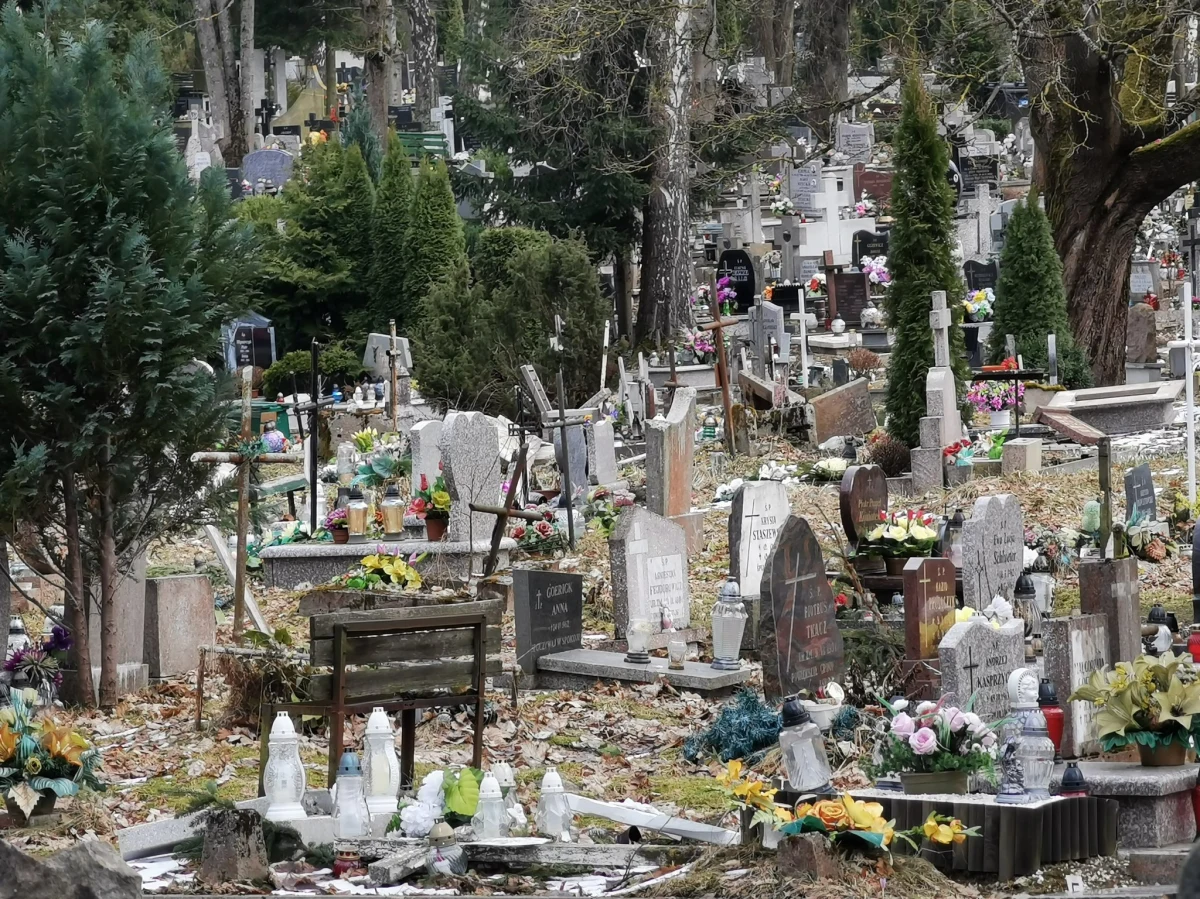 Kilkadziesiąt nagrobków dzieci zostało zniszczonych na cmentarzu przy ul. Poprzecznej w Olsztynie. Wandale połamali i porozbijali tablice i krzyże na dziecięcych grobach. Po południu policja zatrzymała 38-leniego mężczyznę, który może mieć związek ze sprawą. 