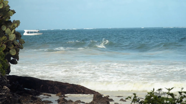 Asia mieszka w Kenii, w miejscowości Mombasa. Jednym z miejsc, które często wybierają turyści, jest plaża nad oceanem. Właśnie w tym miejscu można spróbować lokalnych przysmaków, takich jak... ośmiorniczki.Fragment programu "Polacy za granicą", emitowanego na antenie Polsat Play.