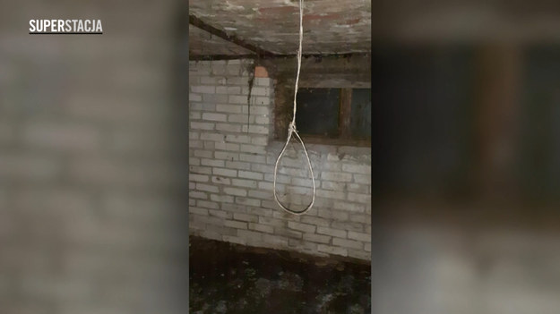 Mieszkanka podwarszawskiej miejscowości znęcała się nad zwierzętami. Inspektorzy OTOZ Animals w jednym z domów odkryli w piwnicy "salę tortur", a w niej szubienice, krew na ścianach, zagłodzone i martwe psy.