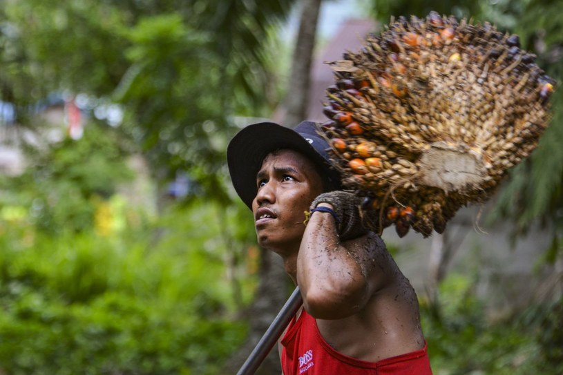 /CHAIDEER MAHYUDDIN /AFP