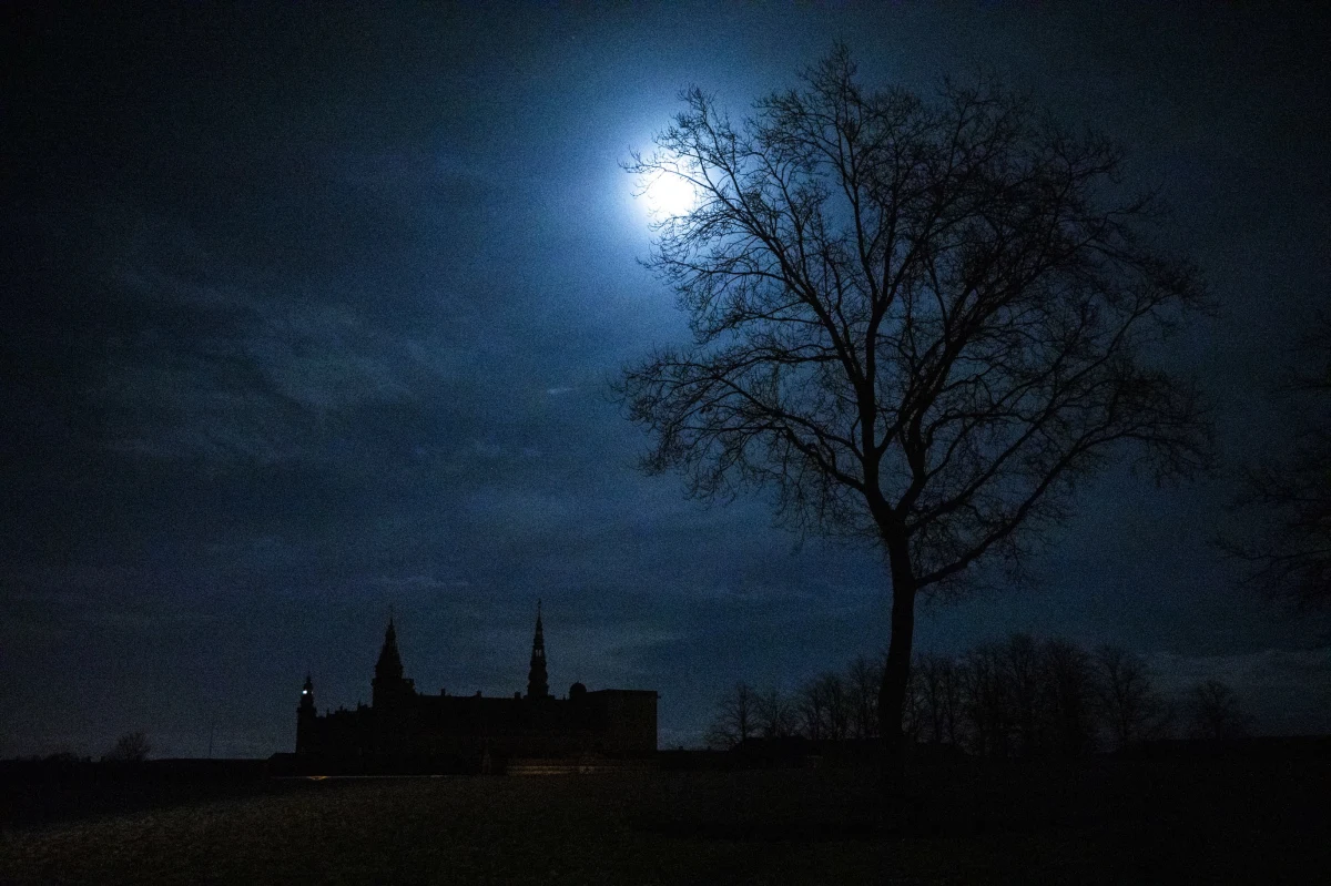 W sobotę w setkach miast na świecie, jak i dziesiątkach w Polsce, o godz. 20.30 na godzinę zgasły światła w ramach akcji WWF Godzina dla Ziemi. Najbardziej spektakularne było wygaszanie np. iluminacji znanych zabytków czy charakterystycznych budynków. Godzinny "blackout" ma być refleksją na temat tego, z jakimi problemami zmaga się nasza planeta. Od lat ekolodzy z WWF zachęcają, by symbolicznie na godzinę światła wyłączać także w prywatnych domach i mieszkaniach.