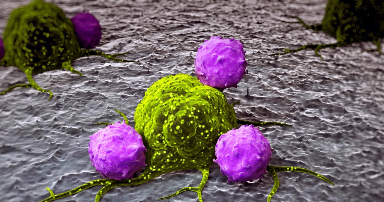 Już wiedzą, jak zatrzymać jeden z najgroźniejszych nowotworów piersi