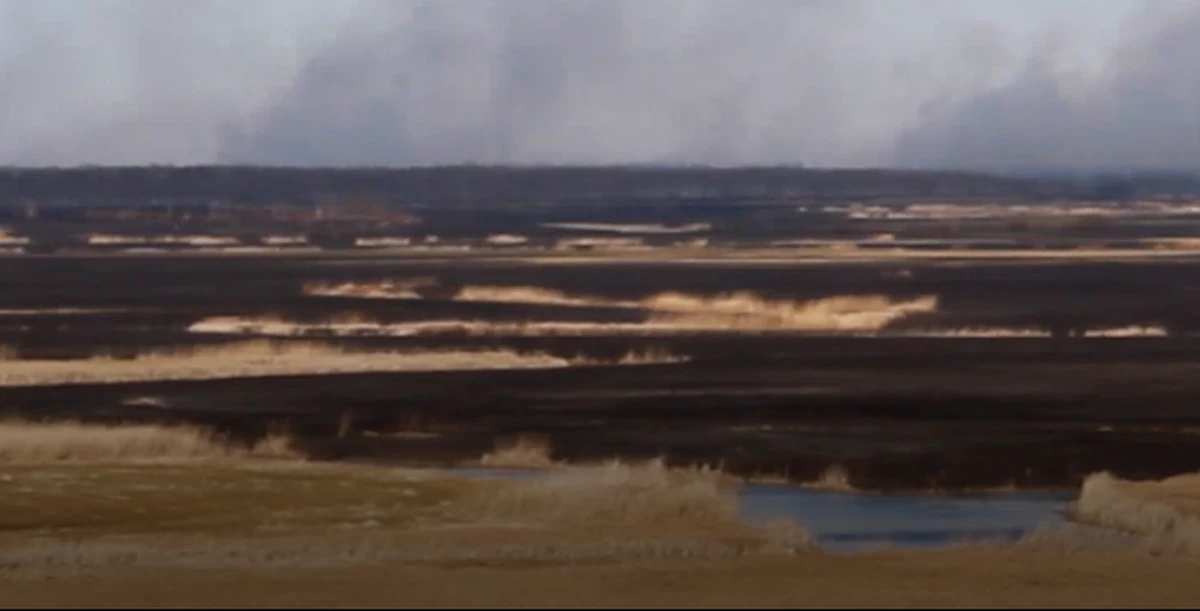 Wraz z początkiem termicznej wiosny strażacy odnotowują więcej wyjazdów do płonących łąk. W woj. warmińsko-mazurskim dziennie to nawet 20-30 takich interwencji.