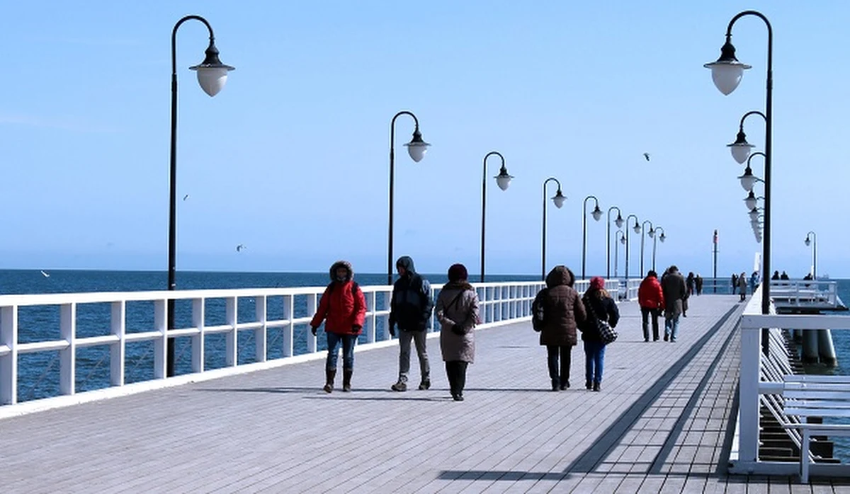 Taka akcja zdarza się nie częściej niż raz na dekadę. 1 kwietnia rusza Narodowy Spis Powszechny Ludności i Mieszkań w 2021 roku. Udział w nim to nasz obowiązek. Tym, którzy postanowią go zlekceważyć, grożą sankcje. Kara może spotkać także za kłamstwo przy podawaniu danych? Warto więc już dziś się dowiedzieć - o co może zapytać nas państwo?