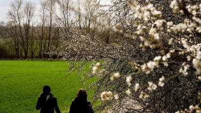 Cieplej i więcej słońca. W weekend nawet 20 stopni