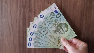Zagłębie Sosnowiec ma coś, czego chcą też na Śląsku