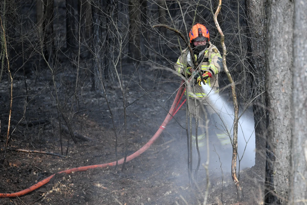Tylko w ostatni weekend w całym kraju doszło do 1548 pożarów traw. Najwięcej odnotowano ich na Mazowszu – 264. Od początku roku trawy, łąki i nieużytki rolne paliły się ponad 8,7 tys. razy. Strażacy ostrzegają: wypalanie traw może skończyć się tragedią. 
