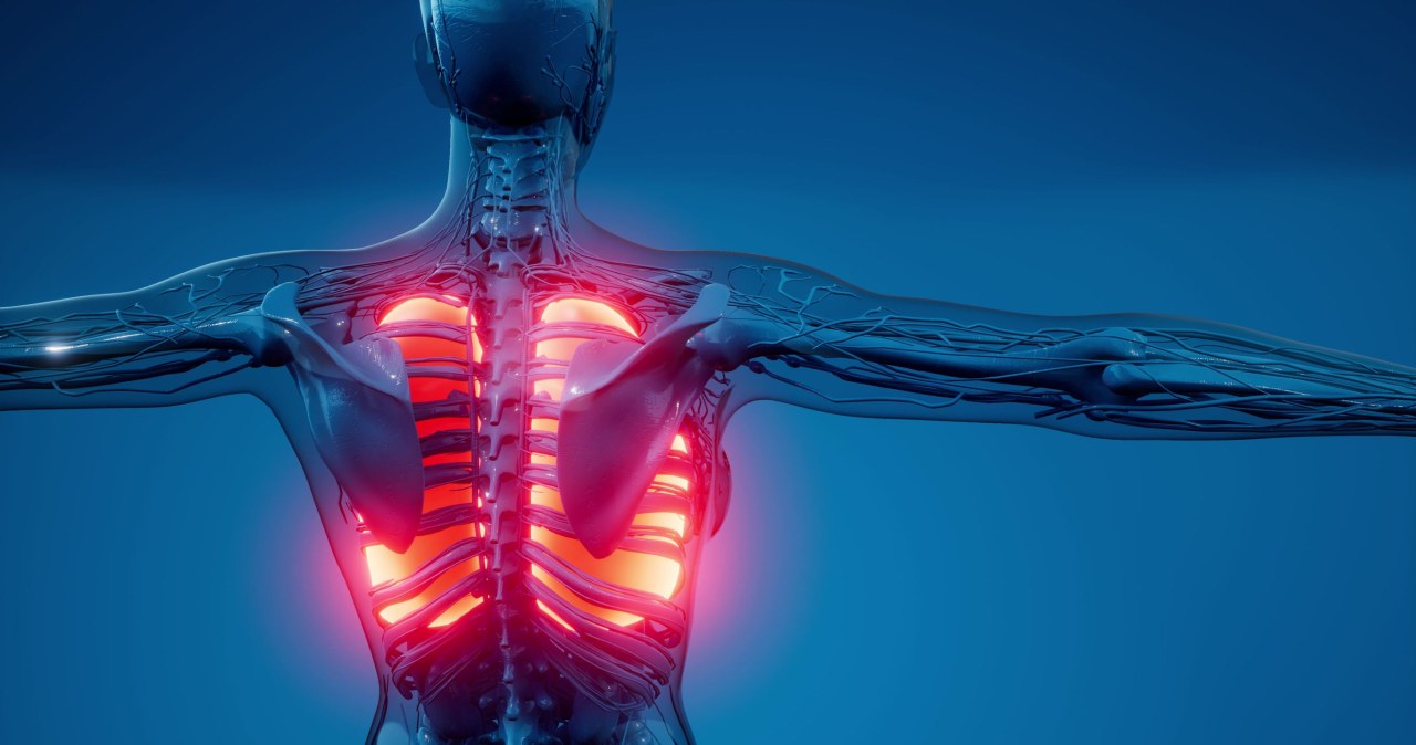 Naukowcy wiedzą, jak odwrócić włóknienie płuc. najważniejsze odkrycie