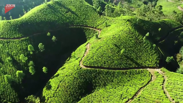 Piękno południa Indii warte jest docenienia. Powyższy film zaprasza nas do stanu Kerala. Kerala słynie m.in. z upraw ryżu i herbaty, a także z tego, że jest stanem o najmniejszej liczbie analfabetów.